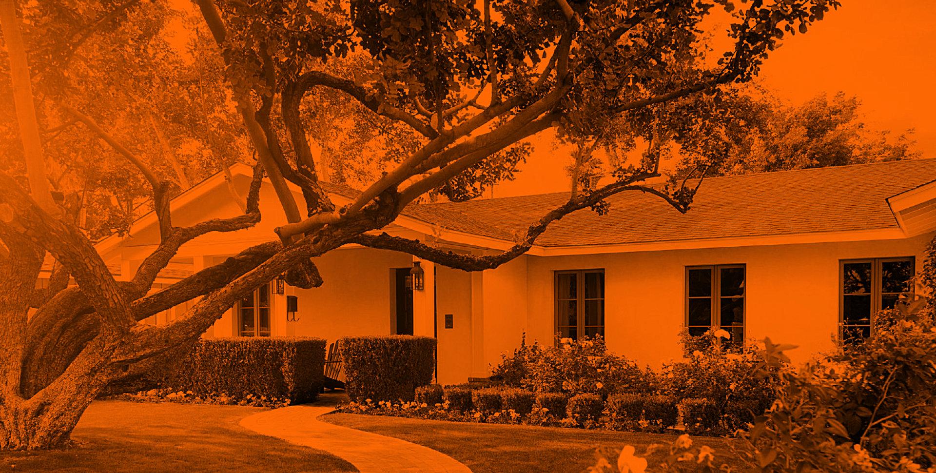 house with a huge tree in its lawn